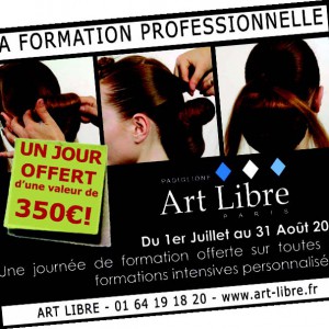 Padiglione Art Libre : Remise à niveau ou perfectionnement ?