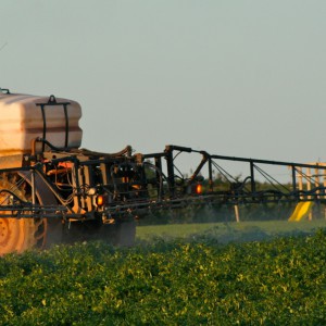 Des traces de pesticides retrouvées dans des cheveux d’enfants