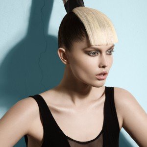 Coiffure japonisante par Robin Navarro