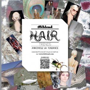 Concours Biblond Hair Trends : et le gagnant du prix du public est…