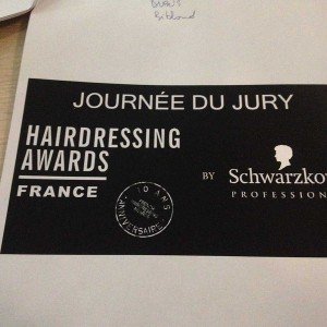 Sélection des nominés des HDA 2015