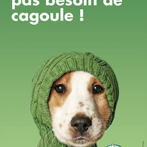 Tchip, une campagne publicitaire qui a du chien