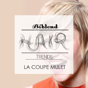 Biblond Hair Trends, faites la couverture du magazine !