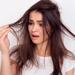 LeCiseau.fr ou la « Garantie Coiffure Réussie »