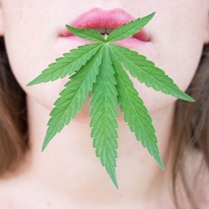 Pour la journée mondiale du cannabis, dopez les cheveux de vos clientes !