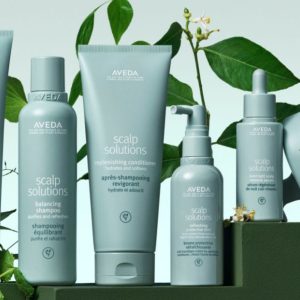 Aveda, la solution…